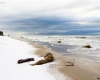 Plaża w Czołpinie - zimowe widoki e